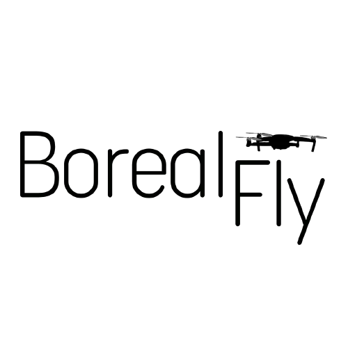 Logo Boreal Fly, partenaire Ecothome